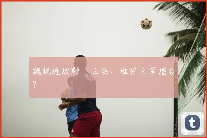 魏锐迎战野杁正明，谁将主宰擂台？