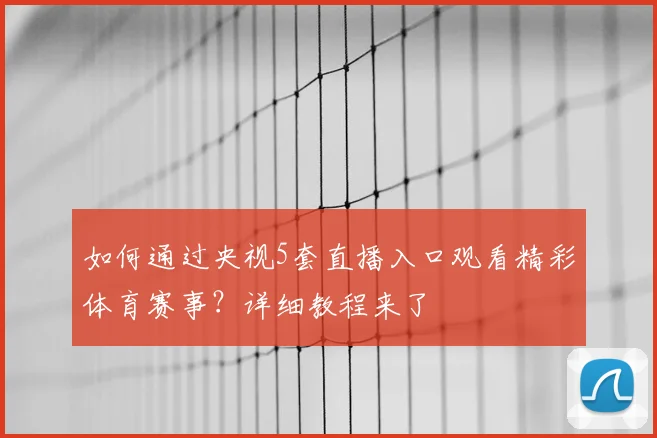 如何通过央视5套直播入口观看精彩体育赛事？详细教程来了