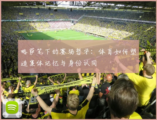 略萨笔下的赛场哲学:体育如何塑造集体记忆与身份认同
