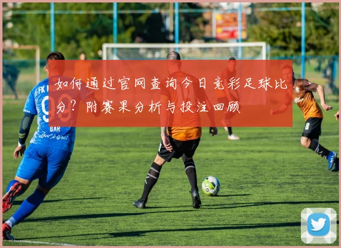如何通过官网查询今日竞彩足球比分？附赛果分析与投注回顾