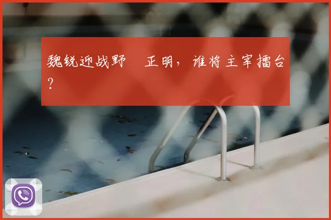 魏锐迎战野杁正明，谁将主宰擂台？