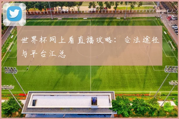 世界杯网上看直播攻略:合法途径与平台汇总