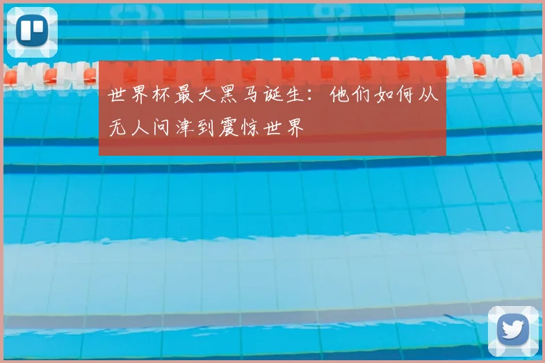 世界杯最大黑马诞生：他们如何从无人问津到震惊世界