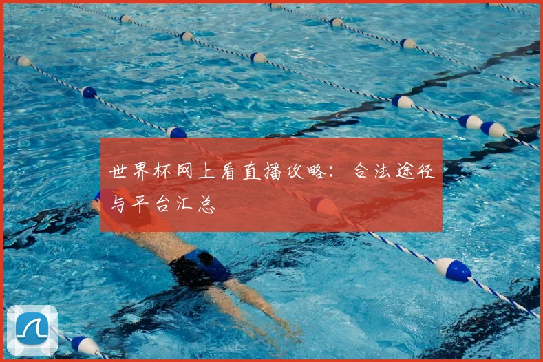 世界杯网上看直播攻略:合法途径与平台汇总
