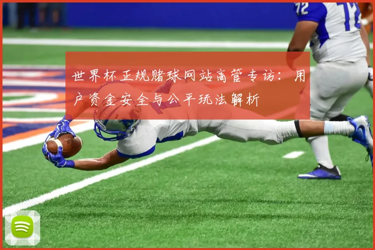 世界杯正规赌球网站高管专访：用户资金安全与公平玩法解析