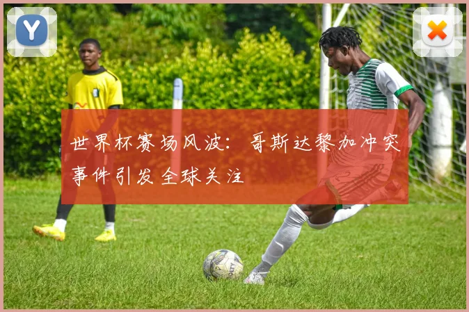 世界杯赛场风波:哥斯达黎加冲突事件引发全球关注