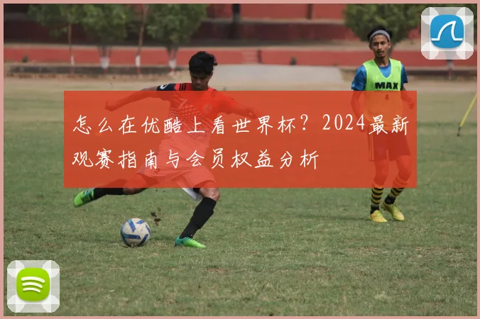 怎么在优酷上看世界杯？2024最新观赛指南与会员权益分析